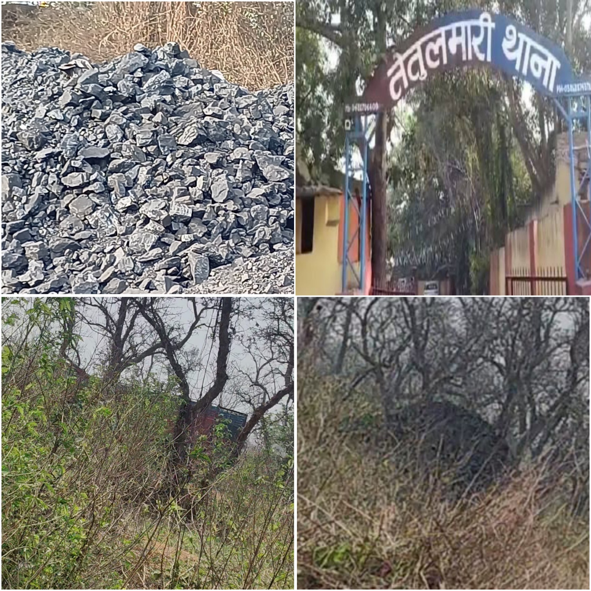 “अवैध कोयले की सल्तनत: तेतुलमारी तिलाटाड़ में ‘बीके’ बना अघोषित कोयला सम्राट”